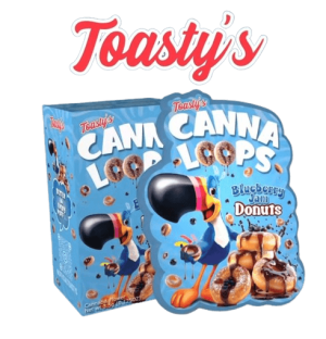 Blueberry Jam Donuts