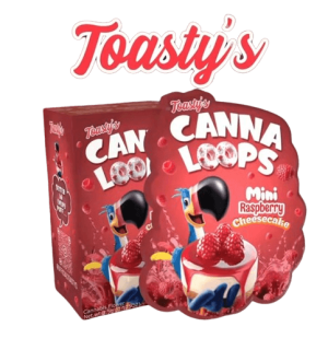 Mini Raspberry Cheesecake