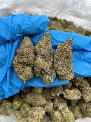 BLACKBERRY BLISS - Monsieur Cannabisbien shop