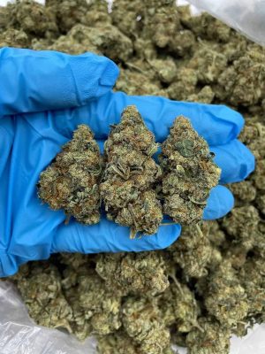 BLUEBERRY COMET Ultime