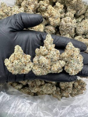 DANTE INFERNO: ULTIME