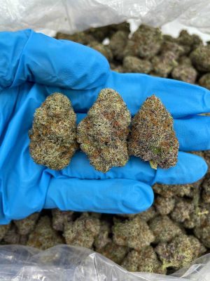 DARKSIDE FIRE OG - Monsieur Cannabisbien shop